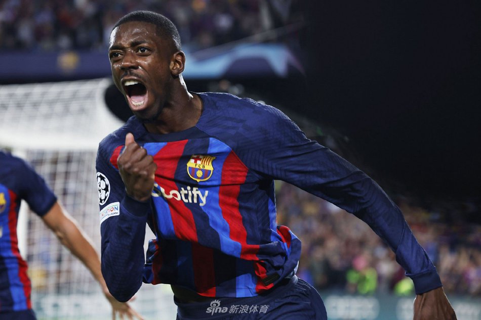 化训练体系 化训练体系