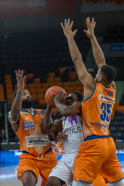 如果你热爱 如果你热爱